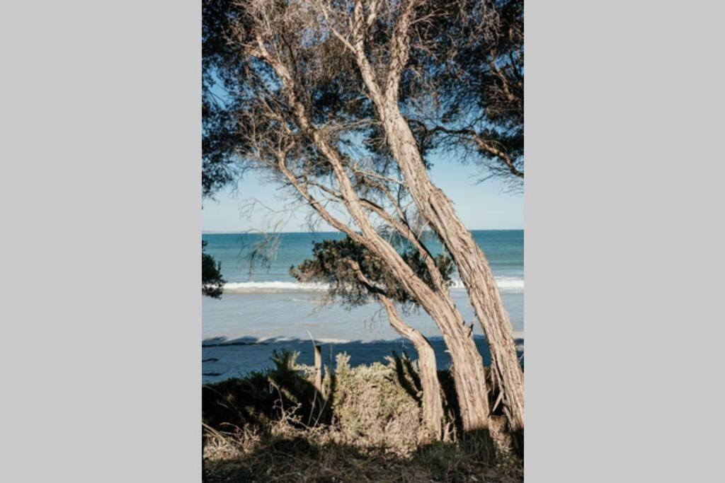 Dunes - Elegant Beach Villa With Huge Heated Swim Spa Port Fairy Exteriér fotografie