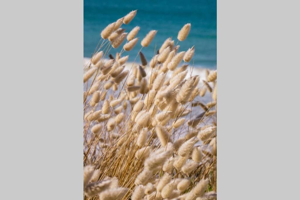 Dunes - Elegant Beach Villa With Huge Heated Swim Spa Port Fairy Exteriér fotografie